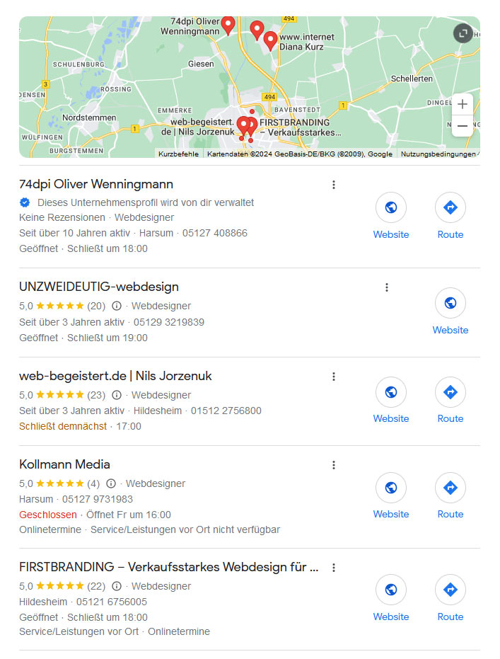 Google Local SEO Hildesheim